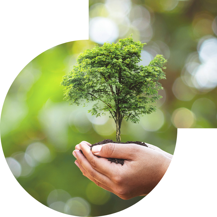 关怀人类、文化、环境与社会